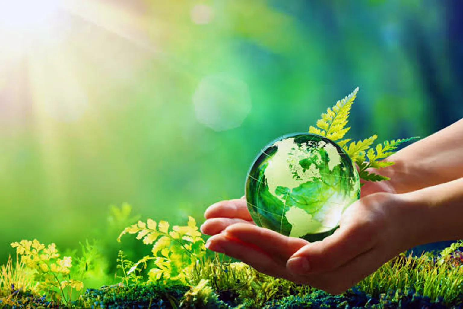 Sustainable Development Initiative